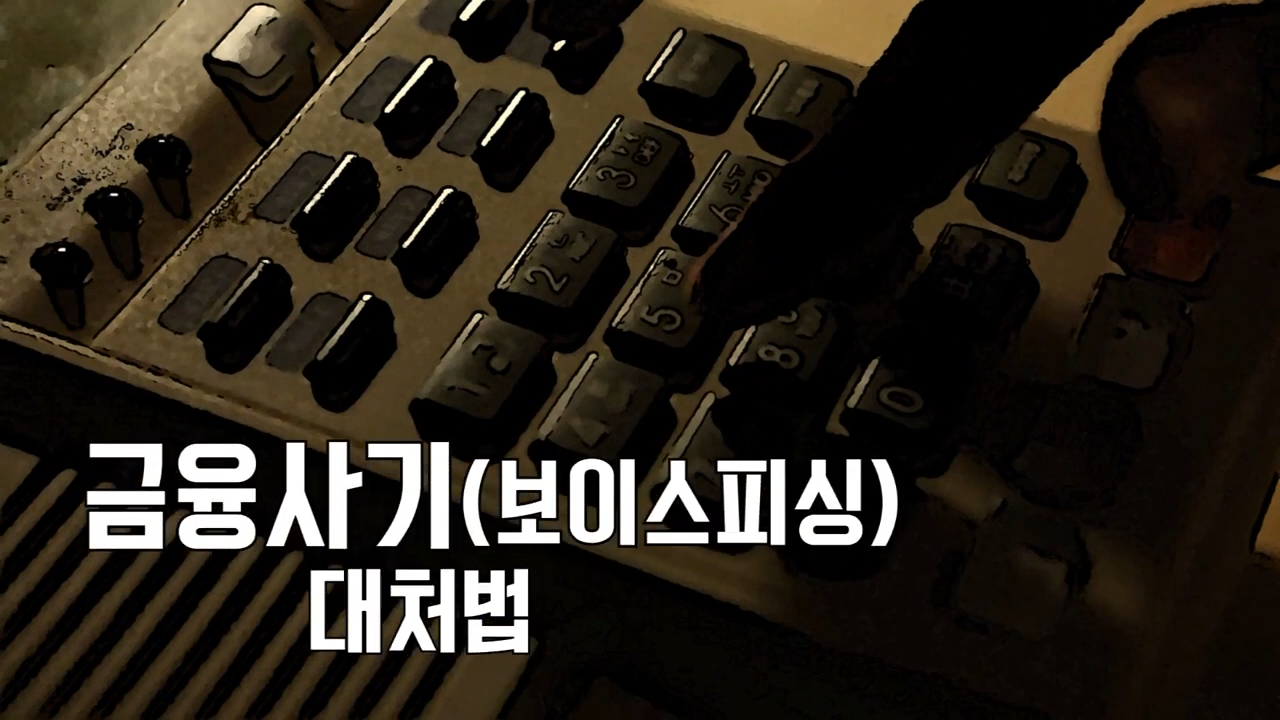 금융사기(보이스피싱) 대처법