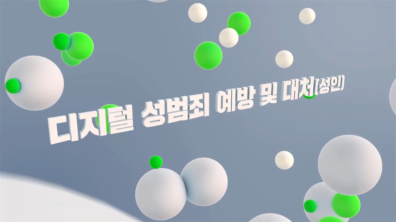 디지털 성범죄 예방 및 대처(성인)