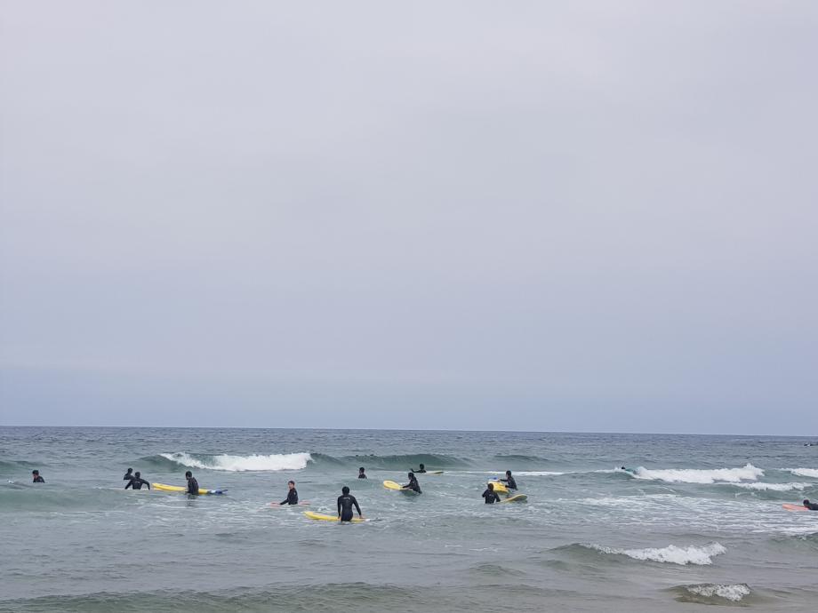 체육학전공 야외활동 수업 &#39;서핑&#39; 7