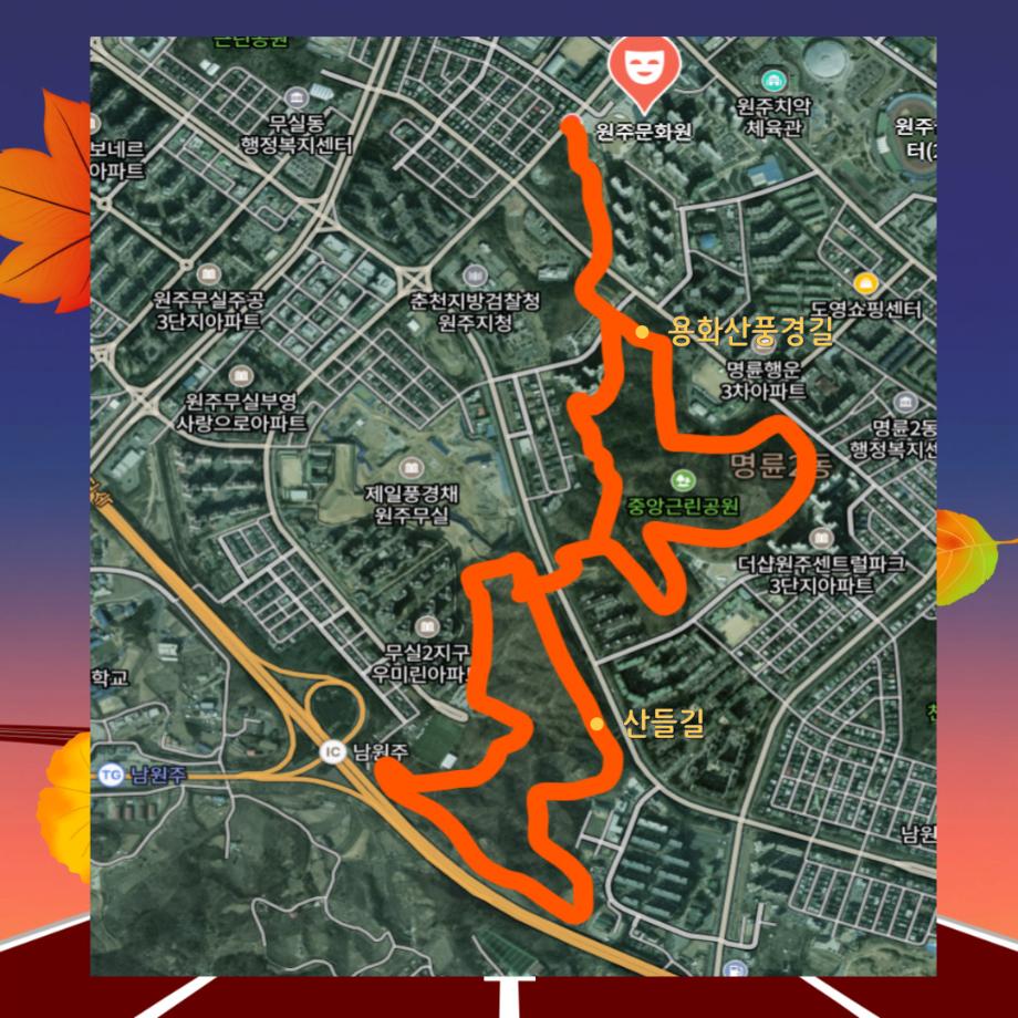 2025원주시 사회적경제컴퍼니(09/12~09/13) - 09/13 탄소중립 오징어게임 운영(시민 참여 프로그램) 7